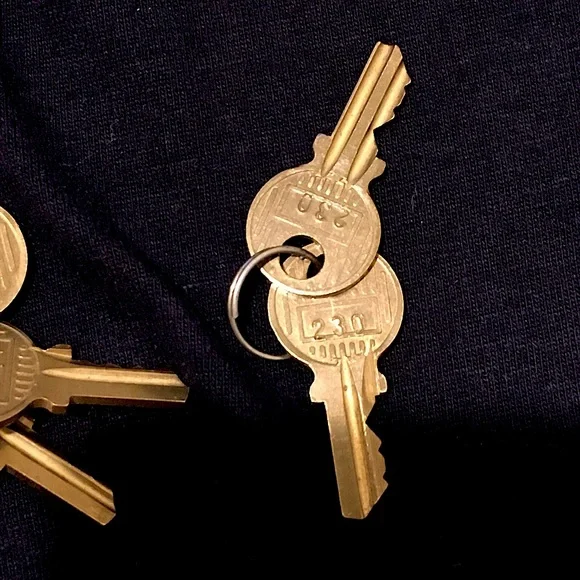 LOUIS VUITTON LV Keys For LV Locks That Have No Key Authentic Brass LV Key - Picture 4 of 8